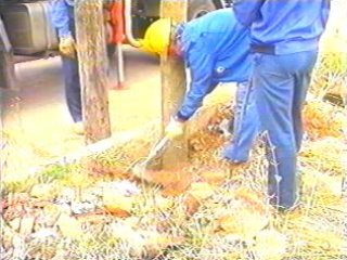 GESA CAMBIO POSTE (56)  PREVENCION RIESGOS